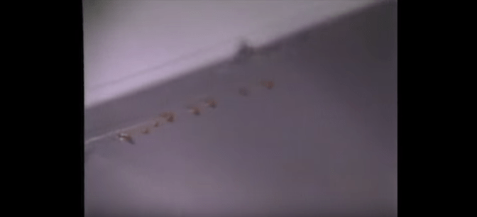 Screen Shot 2016-04-08 at 9.31.05 PM